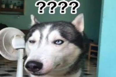 Truyện cười 24h: Người khỏe mạnh "nhất" ở trong bệnh viện tâm thần đòi xuất viện