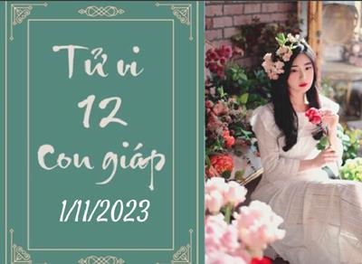 Tử vi vui 12 con giáp hôm nay ngày 1/11/2023: Mùi mệt mỏi, Thìn khó khăn