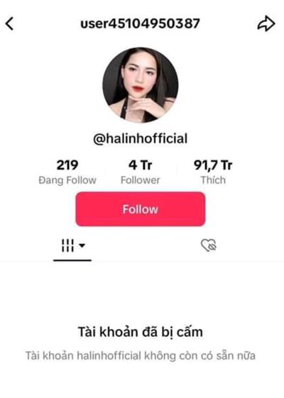 Nóng: Kênh TikTok 4 triệu follower của "chiến thần review" Võ Hà Linh bất ngờ “bay màu” khiến CĐM xôn xao