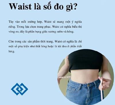 Waist là số đo gì? Đầy đủ những điều cần biết về Waist