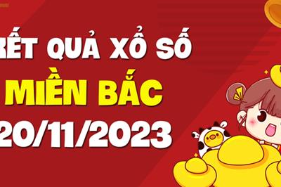 Kết quả xổ số miền Bắc hôm nay 20/11/2023 - XSMB 20/11, KQXSMB ngày 20 tháng 11, xổ số miền Bắc hôm nay