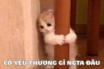 Truyện cười 24h: Những người đang yêu chẳng "mấy ai bình thường"