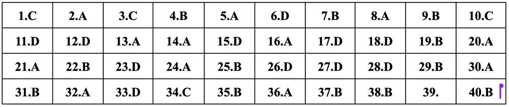 Gợi ý đáp án môn Vật lý thi tốt nghiệp THPT 2024 - 9