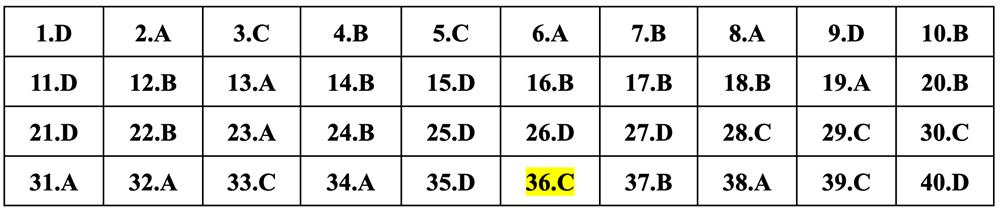 Gợi ý đáp án môn Vật lý thi tốt nghiệp THPT 2024 - 12