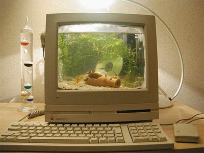 15 điều bạn có thể làm với chiếc máy tính cũ