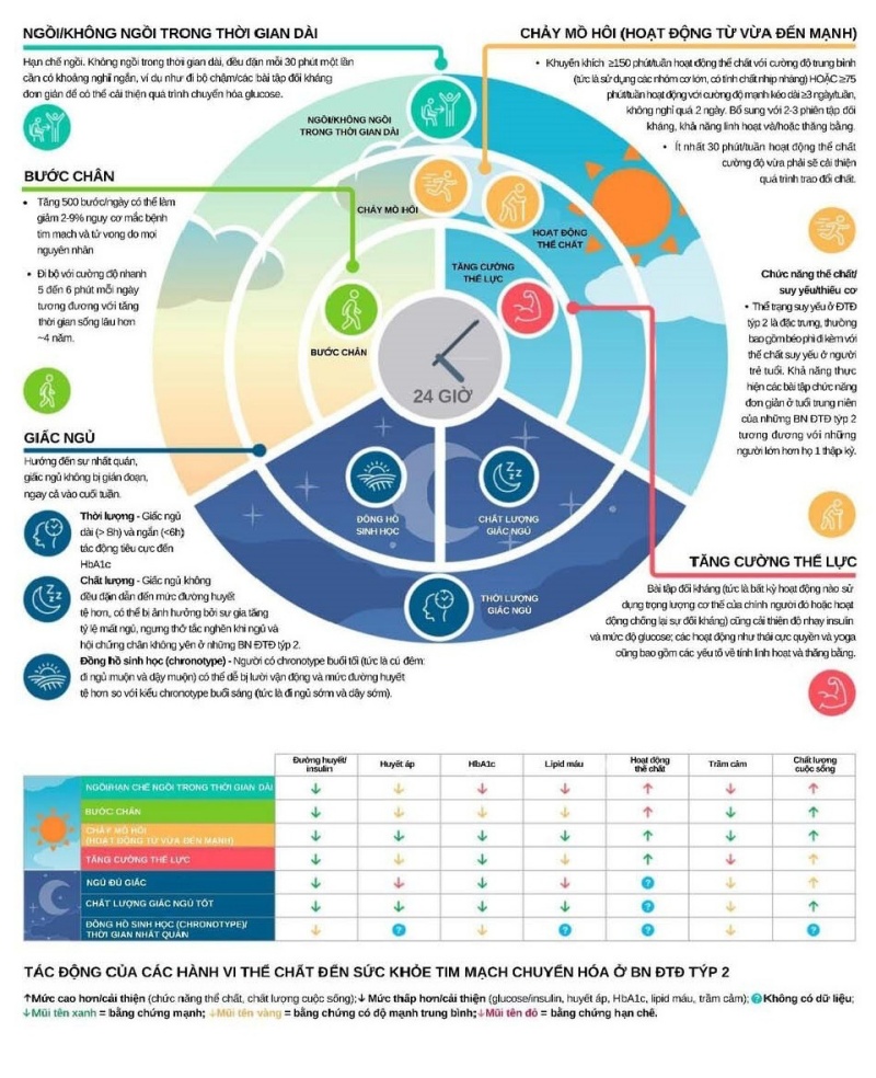 Tầm quan trọng của hành vi thể chất trong 24 giờ đối với ĐÁI THÁO ĐƯỜNG TÝP 2