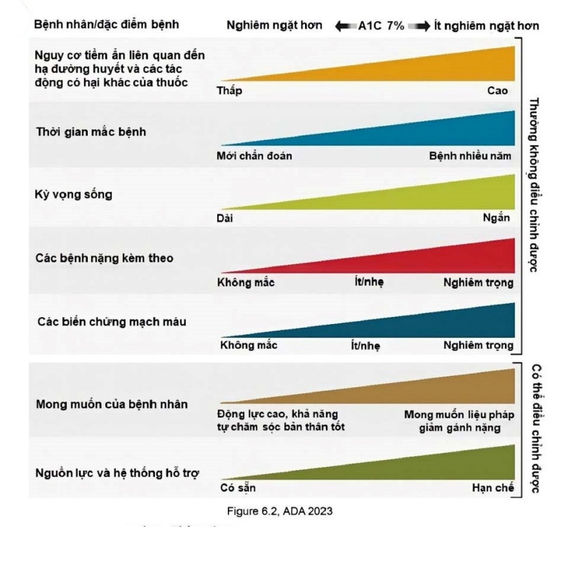 Báo cáo và cá thể hóa mục tiêu đường huyết